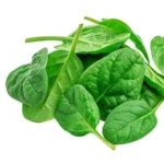 Baby Spinach (छोटी पालक) - 250g
