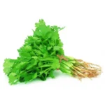 Fresh Coriander (धनिया) – 100g | Green, Aromatic & Pesticide-Free