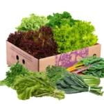 Leafy Green Box