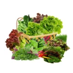 Leafy Greens Basket (बास्केट) - 1kg