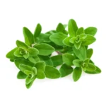 Premium Dried Marjoram (मरजोरम) - 100g | Aromatic Herb for Italian Cooking
