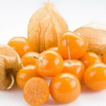 Fresh Gooseberry (ताजा आंवला) – 250g | Tangy, Nutrient-Rich & Immunity Boosting