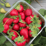 Strawberry (स्ट्रॉबेरी) – 250gm | Fresh, Juicy & Antioxidant-Rich Exotic Fruit