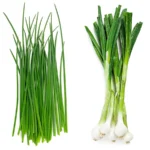 Chives (चिव्स) – (90-100g) | Mild Onion Flavor & Aromatic