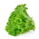 Lettuce Green (लेट्यूस ग्रीन)- 1Pc -100-120g