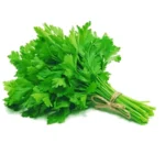 Hydroponic Parsley (पार्सली) – 100g | Fresh & Aromatic