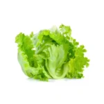 Iceberg Lettuce (आइसबर्ग) 1Pc.150-200g