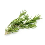 Fresh Rosemary (रोज़मेरी) 100g – Handpicked, Fragrant & Farm Fresh