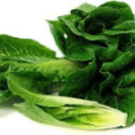 Baby Romaine (रोमेन लेट्यूस) - 50g | Crisp & Hydroponically Grown